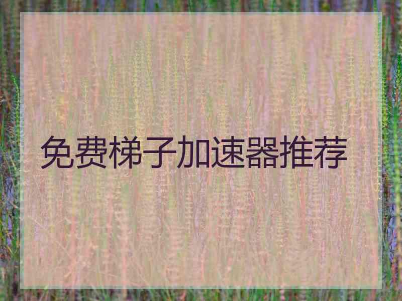 免费梯子加速器推荐