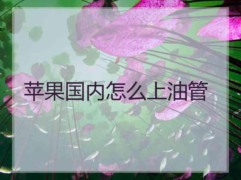 苹果国内怎么上油管