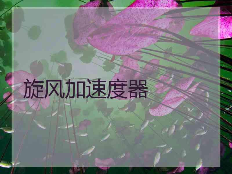 旋风加速度器