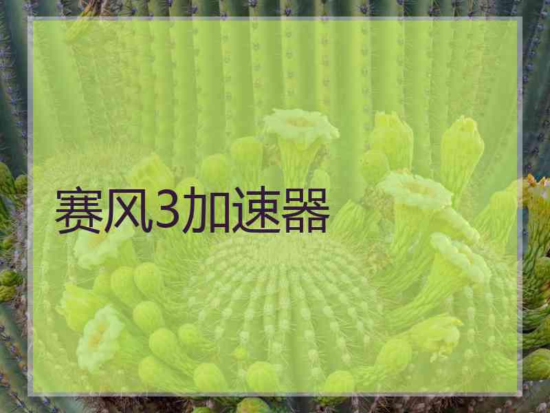 赛风3加速器