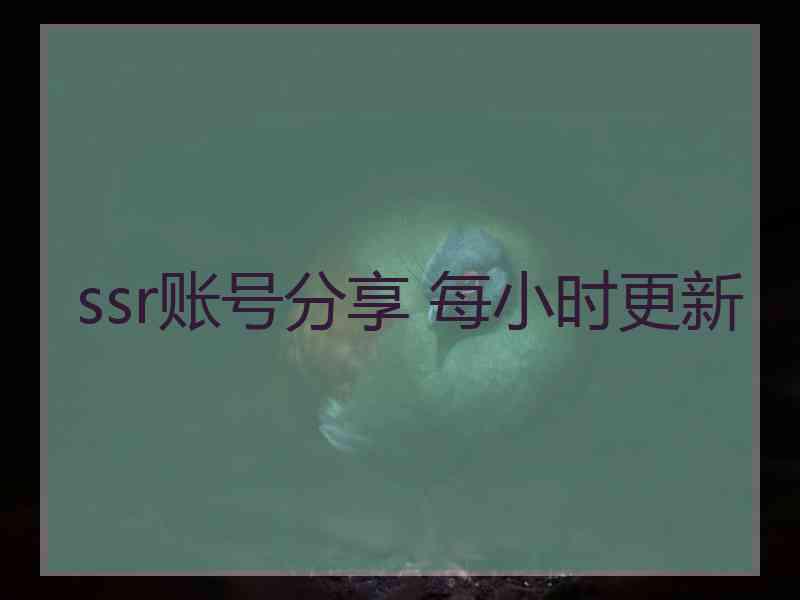 ssr账号分享 每小时更新