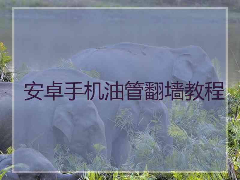 安卓手机油管翻墙教程