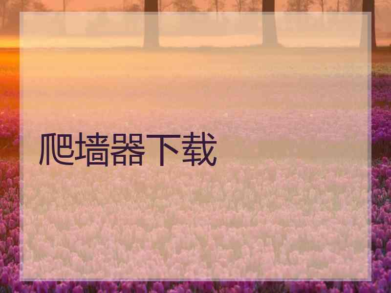 爬墙器下载