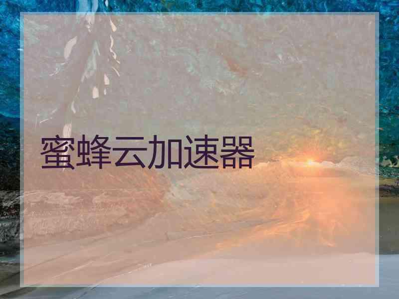 蜜蜂云加速器