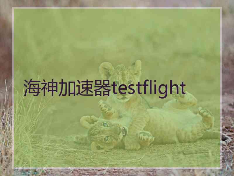 海神加速器testflight