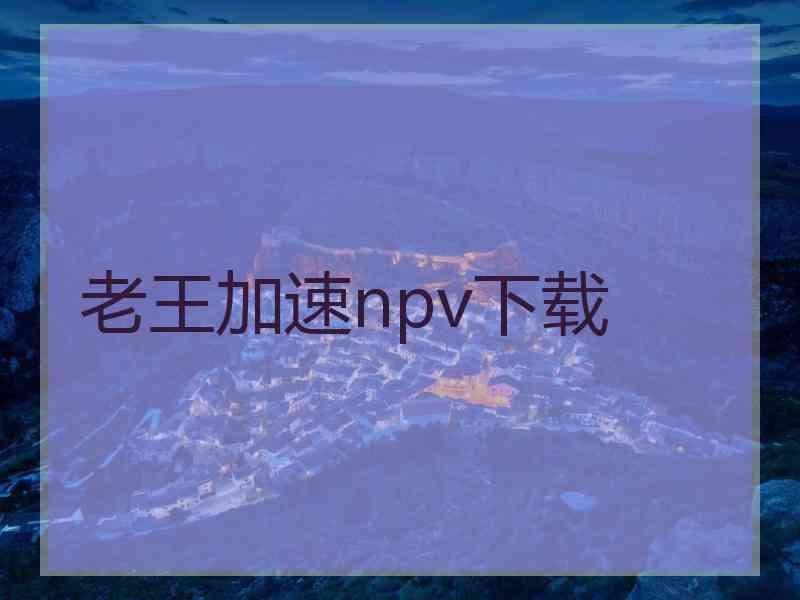 老王加速npv下载