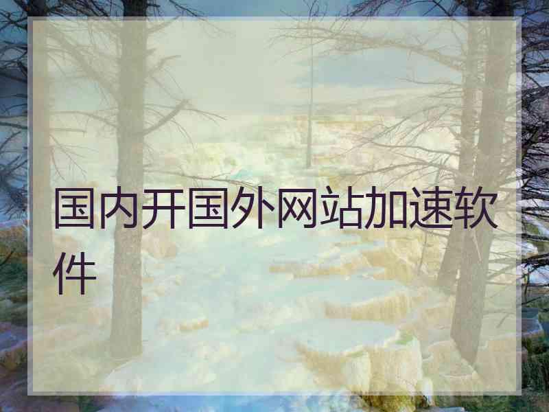 国内开国外网站加速软件