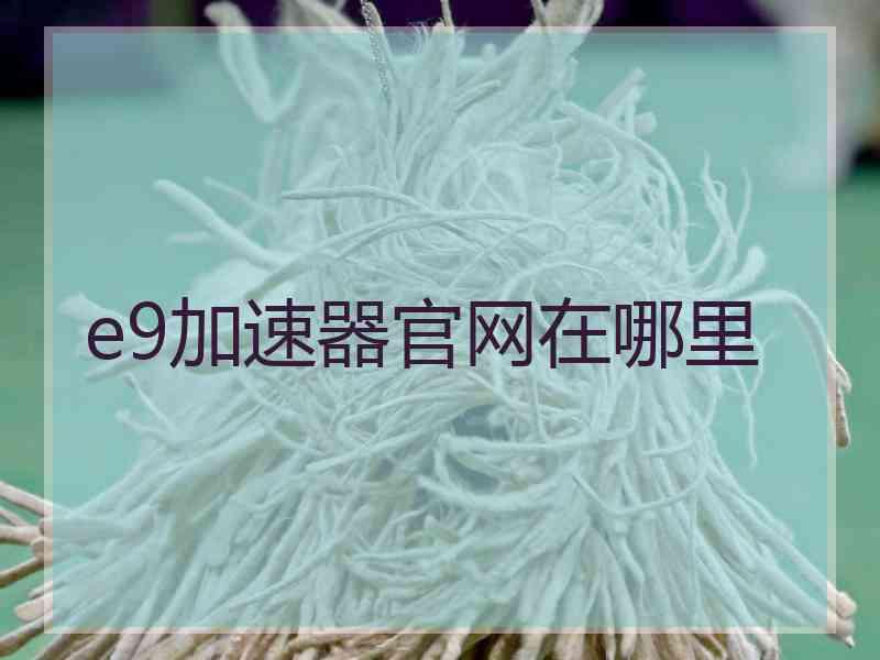 e9加速器官网在哪里