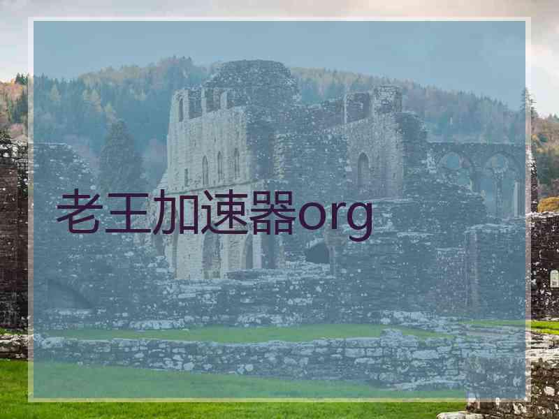 老王加速器org