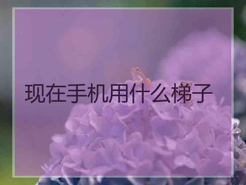 现在手机用什么梯子