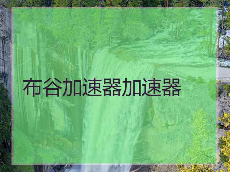 布谷加速器加速器
