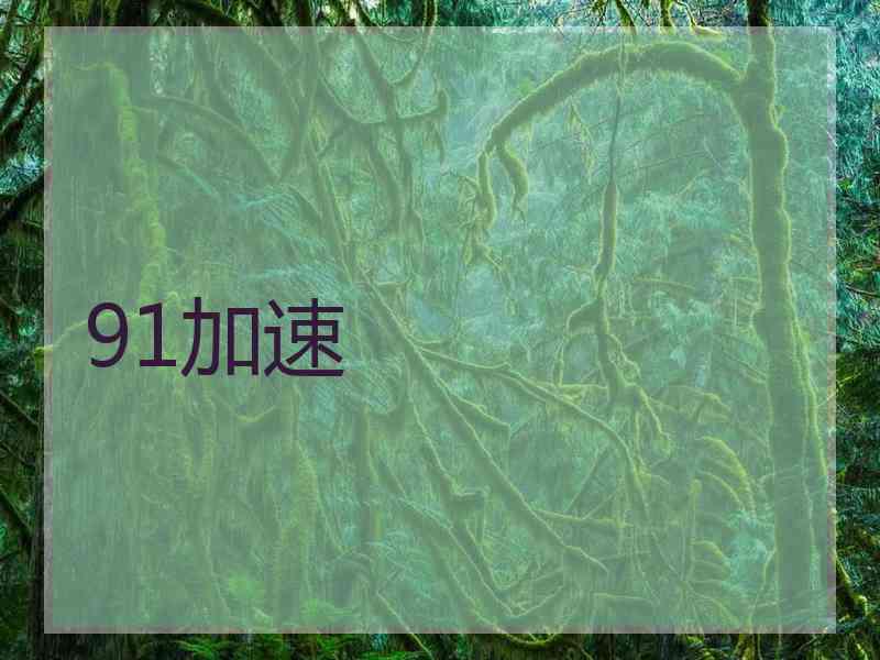 91加速