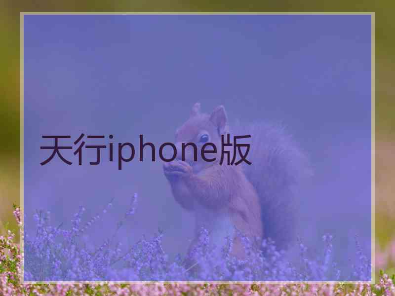 天行iphone版