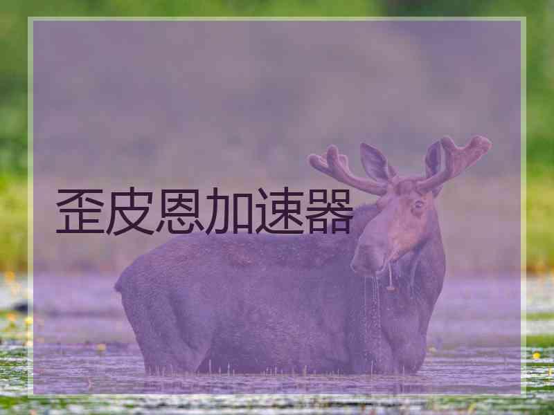 歪皮恩加速器