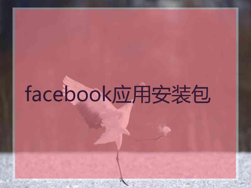 facebook应用安装包
