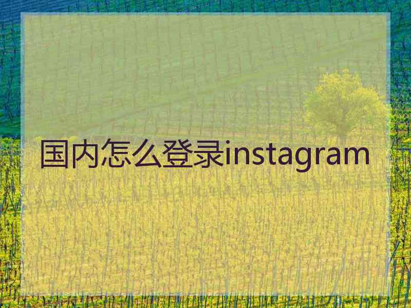 国内怎么登录instagram