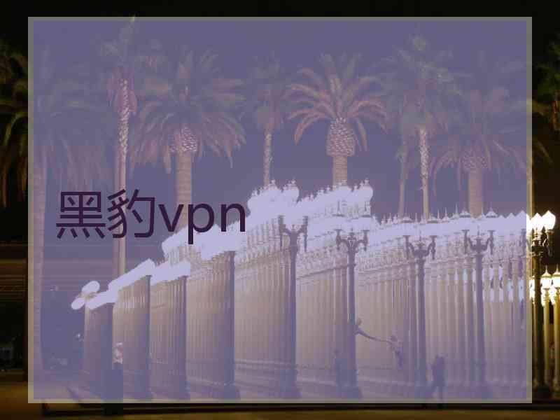 黑豹vpn