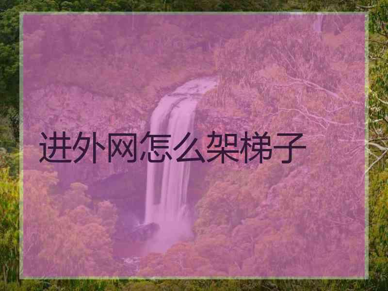 进外网怎么架梯子