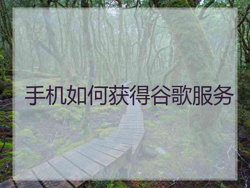 手机如何获得谷歌服务