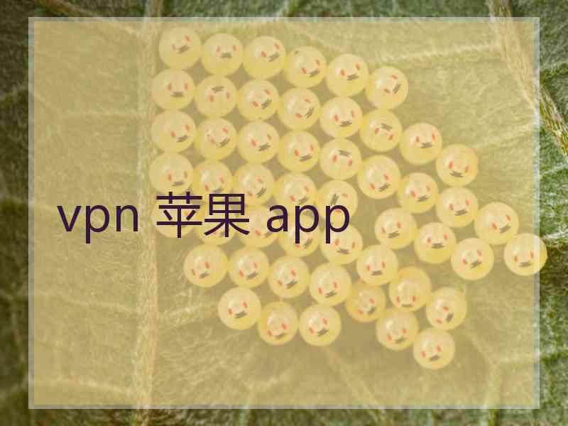 vpn 苹果 app