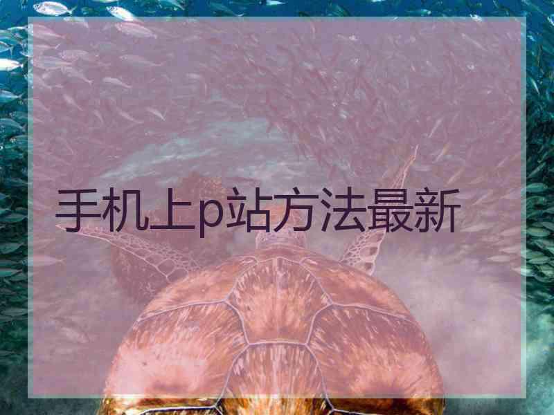 手机上p站方法最新