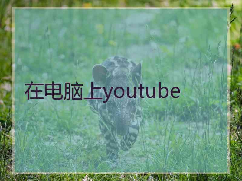 在电脑上youtube