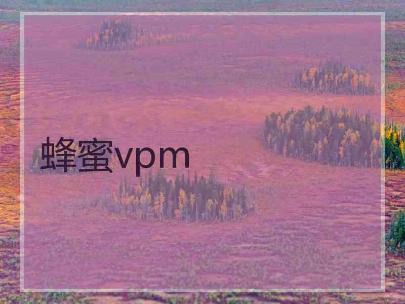 蜂蜜vpm