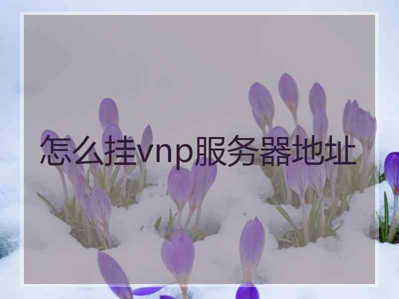 怎么挂vnp服务器地址