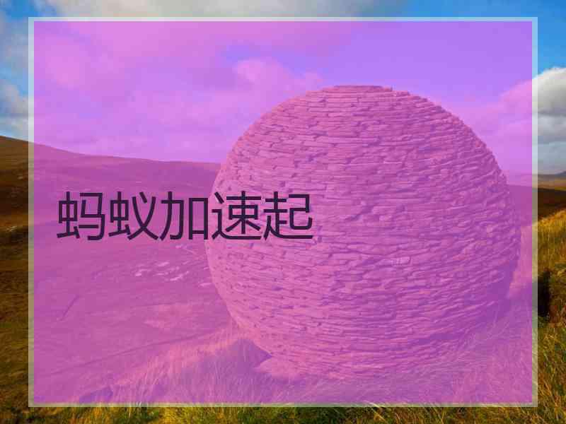 蚂蚁加速起