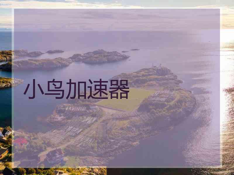 小鸟加速器