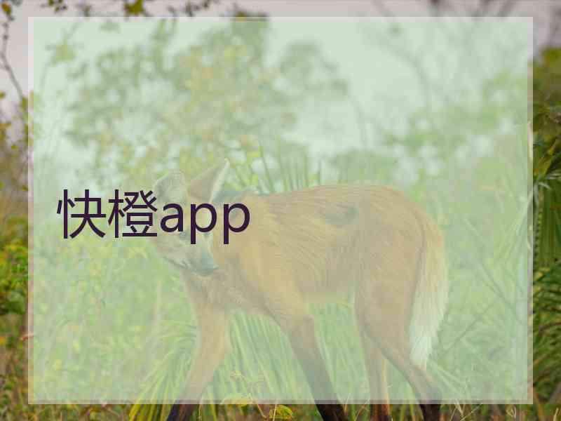 快橙app