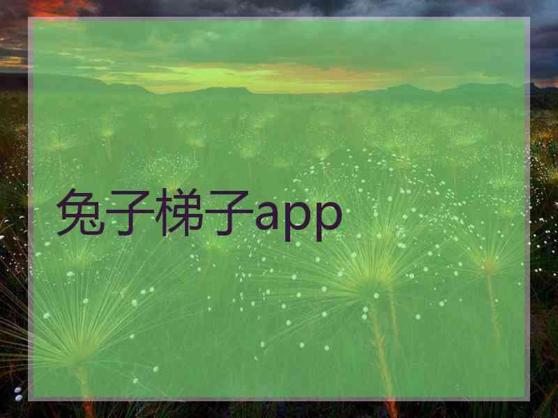 兔子梯子app
