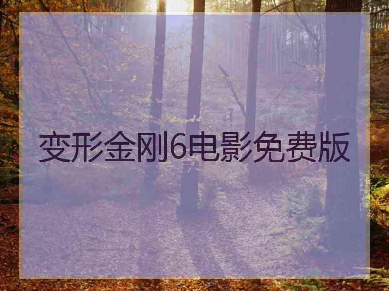 变形金刚6电影免费版