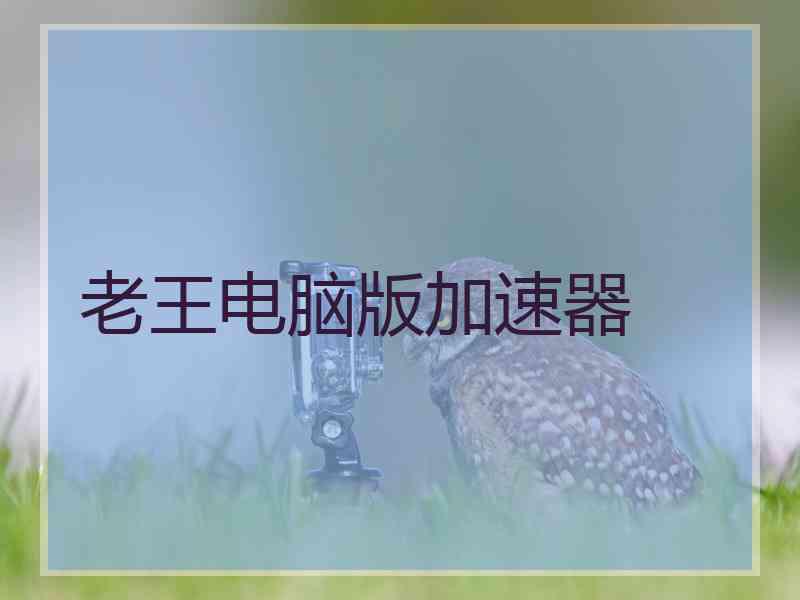 老王电脑版加速器