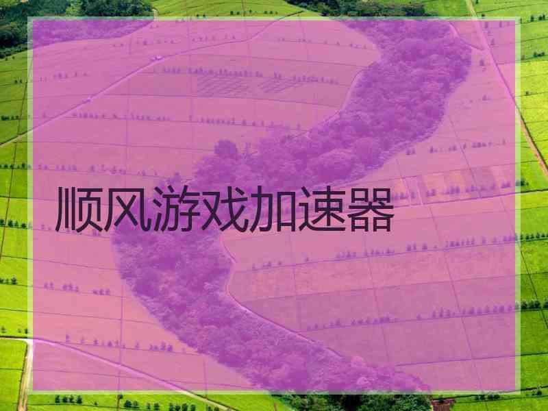 顺风游戏加速器