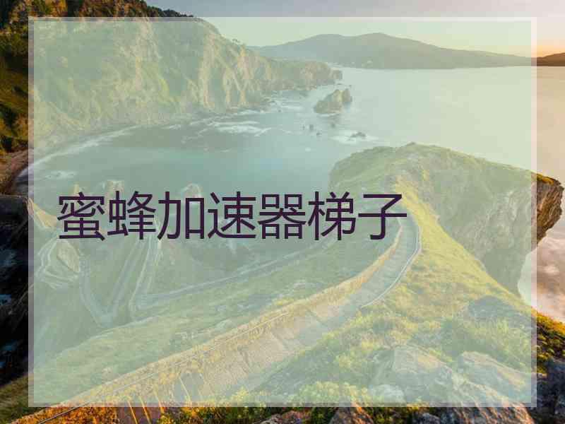 蜜蜂加速器梯子