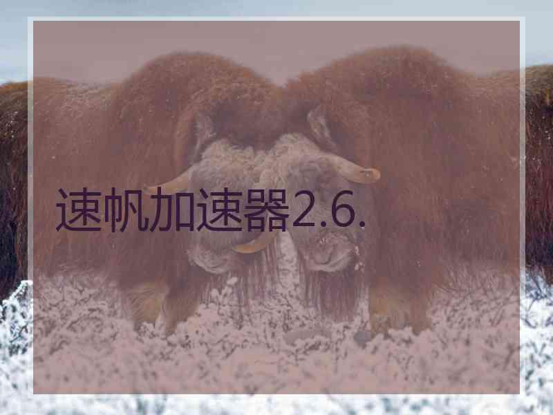 速帆加速器2.6.