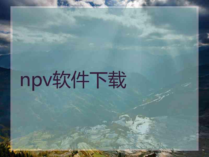 npv软件下载