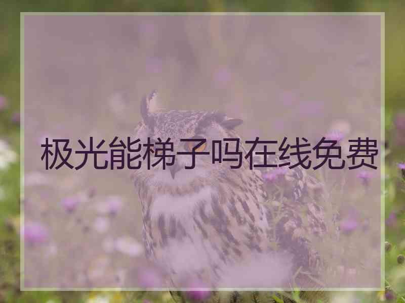 极光能梯子吗在线免费
