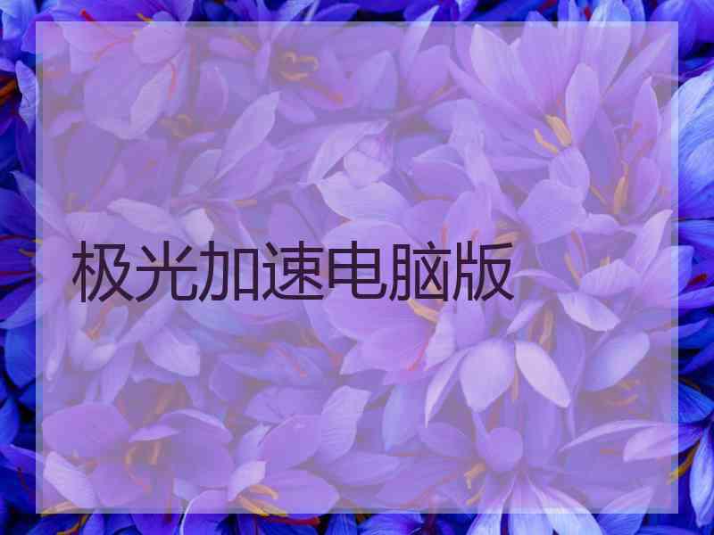 极光加速电脑版
