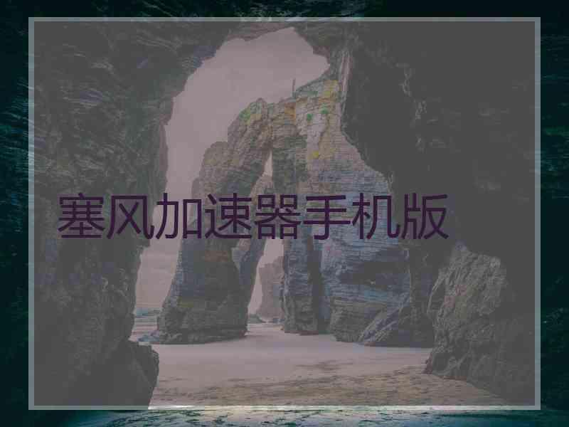 塞风加速器手机版