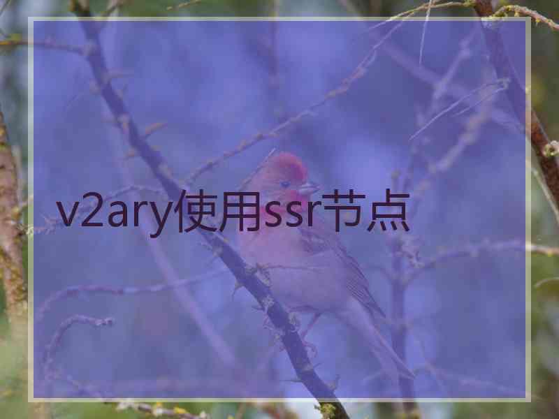 v2ary使用ssr节点