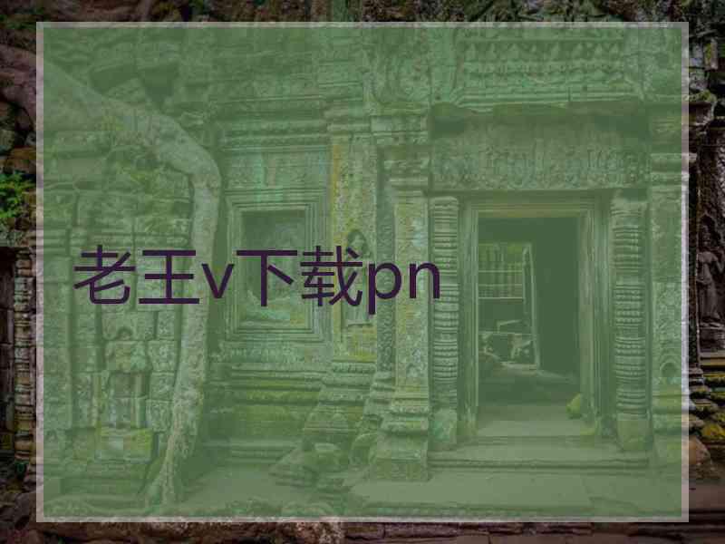 老王v下载pn