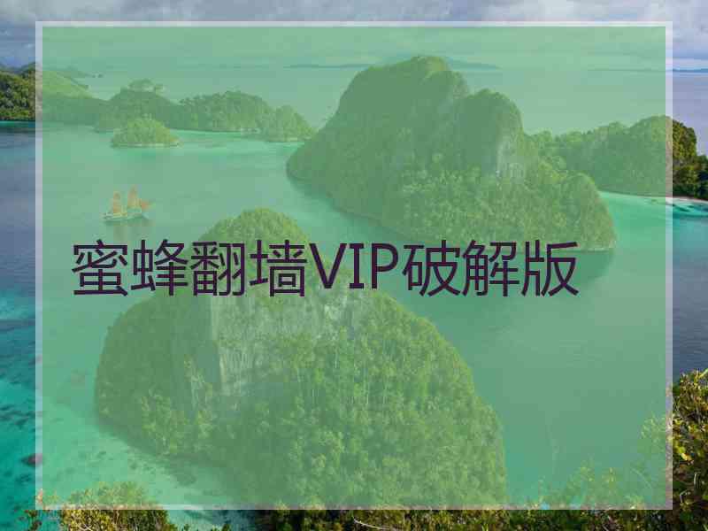 蜜蜂翻墙VIP破解版