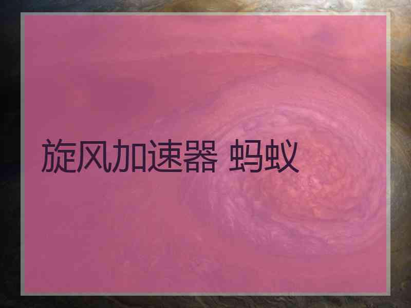 旋风加速器 蚂蚁