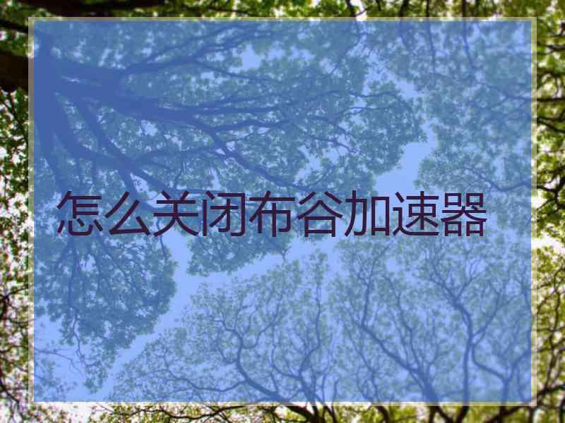 怎么关闭布谷加速器