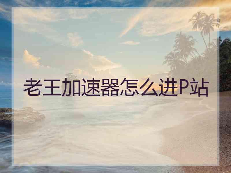 老王加速器怎么进P站