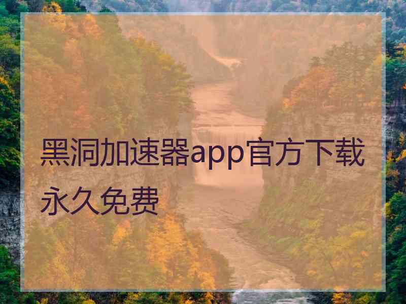 黑洞加速器app官方下载永久免费