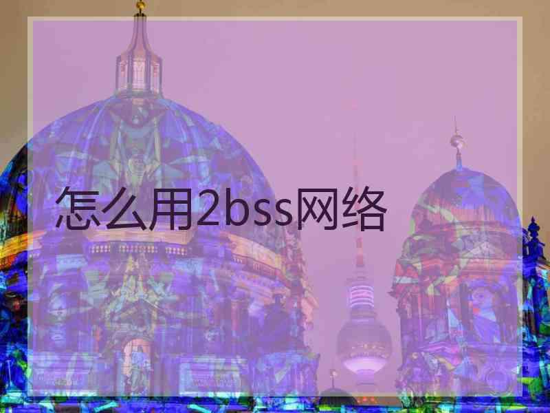 怎么用2bss网络