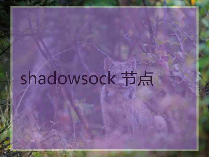 shadowsock 节点